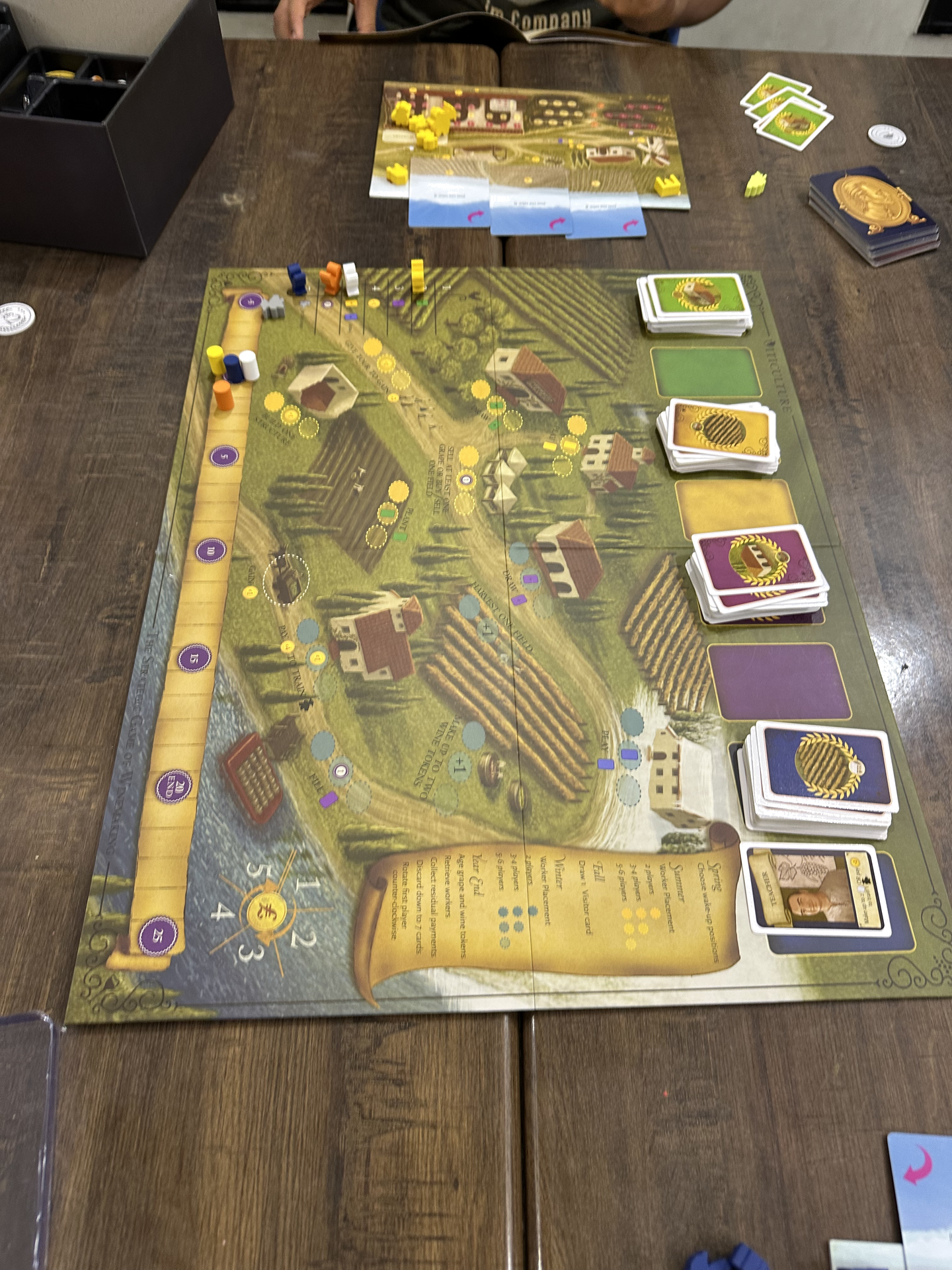 Viticulture photo 1